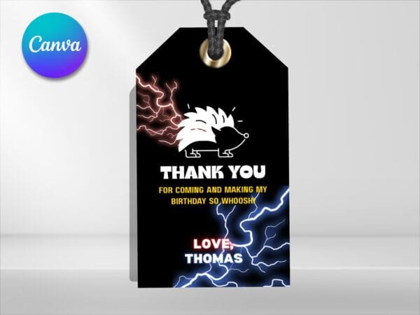 Editable Sonic The Hedgehog Birthday Invitation, Sonic 3 Birthday Invitation Template, Digital Direct Download - Image 4